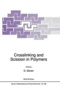 bokomslag Crosslinking and Scission in Polymers