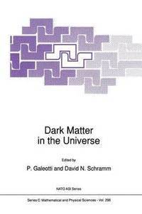 bokomslag Dark Matter in the Universe