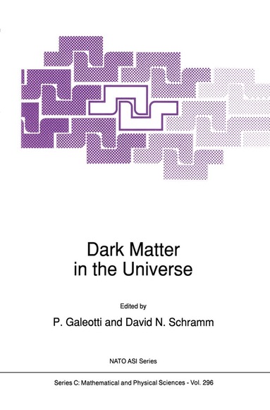 P. Galeotti, David N. Schramm - Dark Matter in the Universe, Häftad