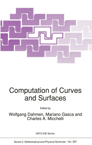 Wolfgang Dahmen, Mariano Gasca, Charles A. Micchelli - Computation of Curves and Surfaces, Häftad