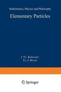 bokomslag Elementary Particles