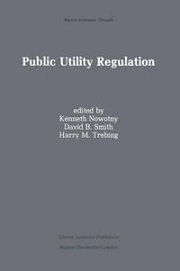 bokomslag Public Utility Regulation