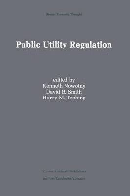 bokomslag Public Utility Regulation