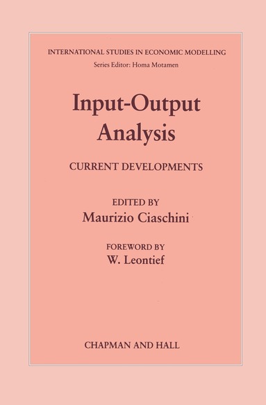 M. Giaschini - Input-Output Analysis, Häftad