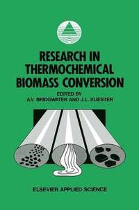 bokomslag Research in Thermochemical Biomass Conversion