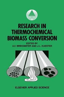 Research in Thermochemical Biomass Conversion 1