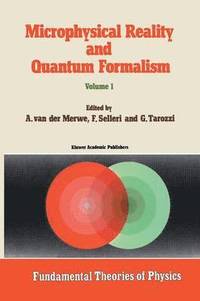 bokomslag Microphysical Reality and Quantum Formalism