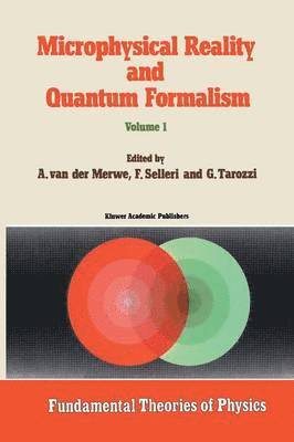 Microphysical Reality and Quantum Formalism 1