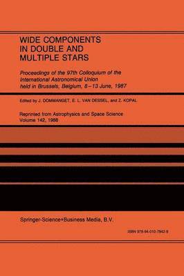 bokomslag Wide Components in Double and Multiple Stars