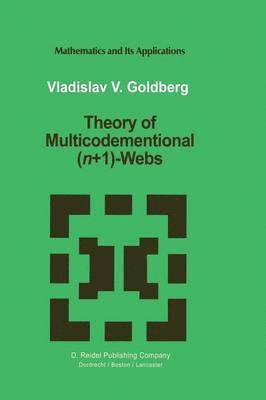 bokomslag Theory of Multicodimensional (n+1)-Webs