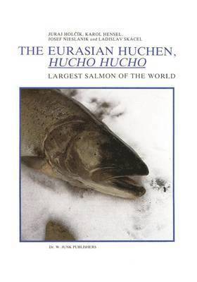 The Eurasian Huchen, Hucho hucho 1