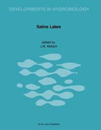 bokomslag Saline Lakes