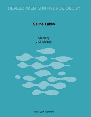Saline Lakes 1