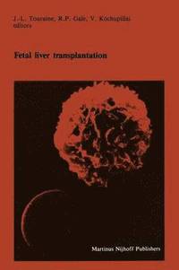 bokomslag Fetal liver transplantation