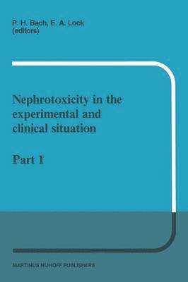 bokomslag Nephrotoxicity in the experimental and clinical situation