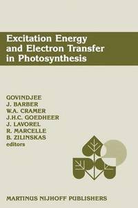 bokomslag Excitation Energy and Electron Transfer in Photosynthesis
