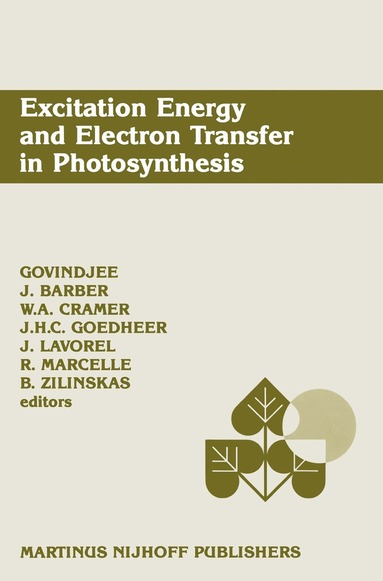 bokomslag Excitation Energy and Electron Transfer in Photosynthesis