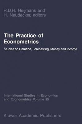 bokomslag Practice of Econometrics