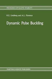 bokomslag Dynamic Pulse Buckling