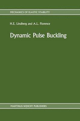 bokomslag Dynamic Pulse Buckling