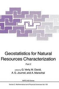 bokomslag Geostatistics for Natural Resources Characterization