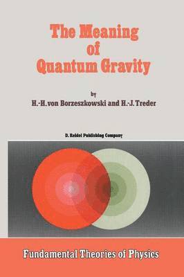 Horst-Heino Borzeszkowski, H.J. Treder, H. J. Treder - Meaning of Quantum Gravity, Häftad