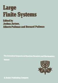 bokomslag Large Finite Systems