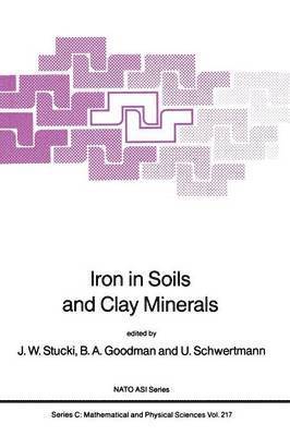 bokomslag Iron in Soils and Clay Minerals
