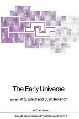 W.G. Unruh, W. G. Unruh - Early Universe, Häftad