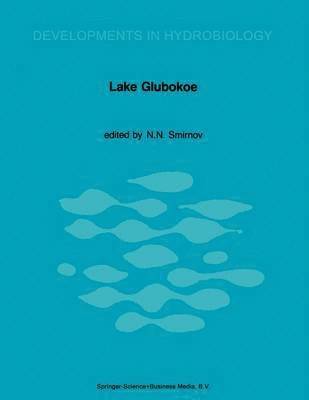 bokomslag Lake Glubokoe