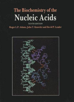 bokomslag The Biochemistry of the Nucleic Acids