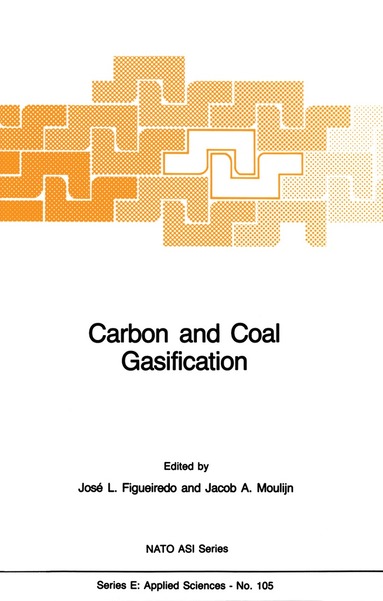 bokomslag Carbon and Coal Gasification