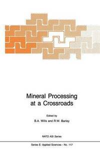 bokomslag Mineral Processing at a Crossroads