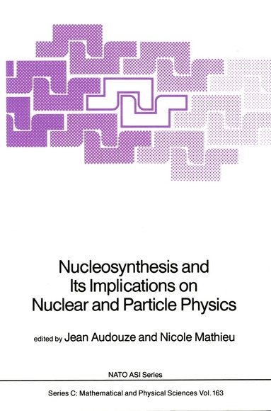 J. Audouze, Nicole Mathieu - Nucleosynthesis and Its Implications on Nuclear and Particle Physics, Häftad