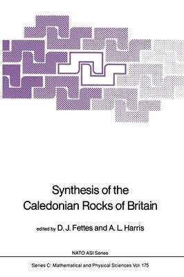 bokomslag Synthesis of the Caledonian Rocks of Britain