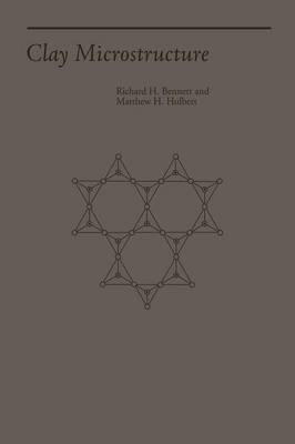 bokomslag Clay Microstructure