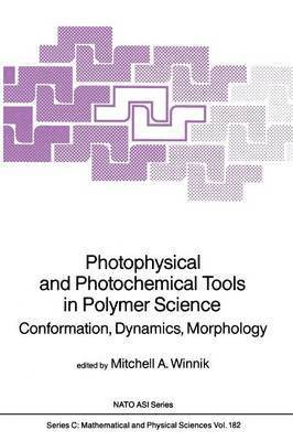 bokomslag Photophysical and Photochemical Tools in Polymer Science