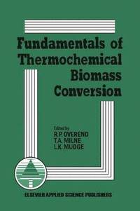 bokomslag Fundamentals of Thermochemical Biomass Conversion