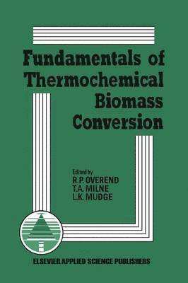 bokomslag Fundamentals of Thermochemical Biomass Conversion