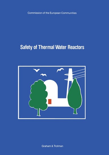 bokomslag Safety of Thermal Water Reactors