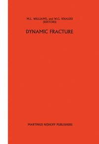 bokomslag Dynamic fracture