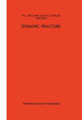 bokomslag Dynamic fracture