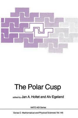 The Polar Cusp 1