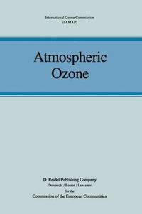 bokomslag Atmospheric Ozone
