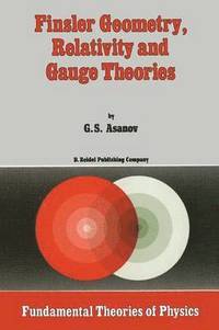 bokomslag Finsler Geometry, Relativity and Gauge Theories