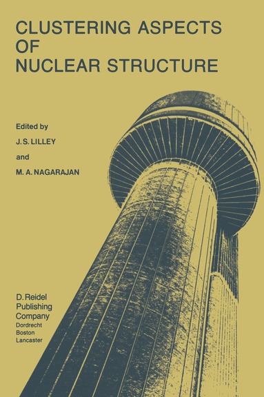 bokomslag Clustering Aspects of Nuclear Structure