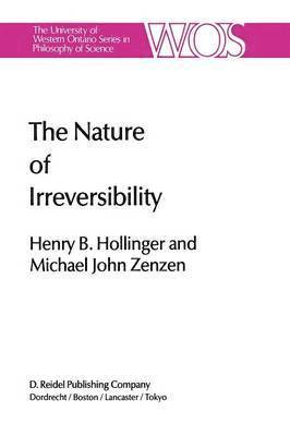 bokomslag Nature of Irreversibility