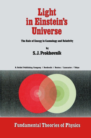 bokomslag Light in Einstein's Universe