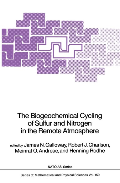 James N. Galloway, Robert J. Charlson, Meinrat O. Andreae, Henning Rodhe - Biogeochemical Cycling of Sulfur and Nitrogen in the Remote Atmosphere, Häftad