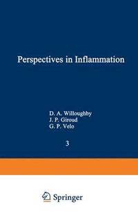 bokomslag Perspectives in Inflammation